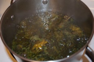 An herbal decoction for varicose veins