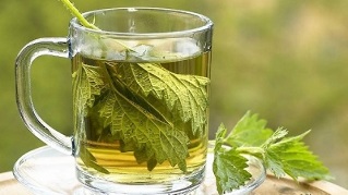 nettle decoction for the treatment of varicose veins